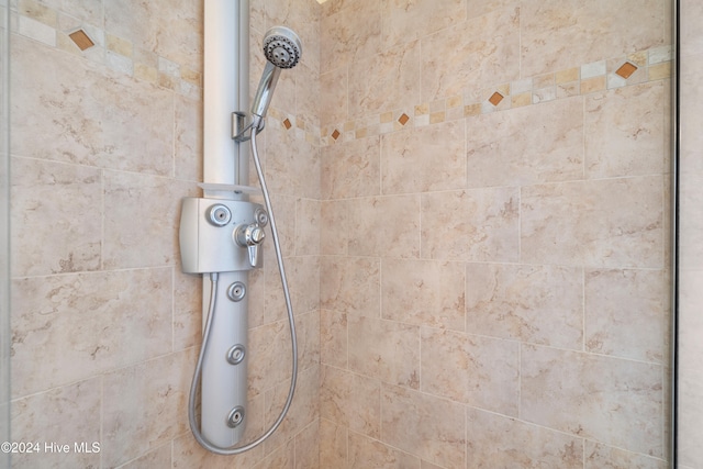 interior details featuring a tile shower