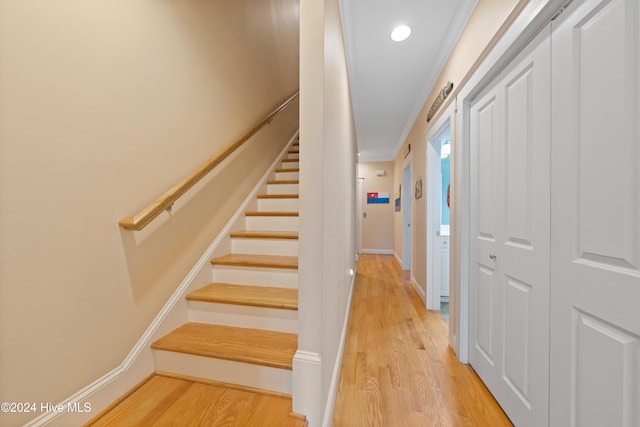 stairway with hardwood / wood-style floors