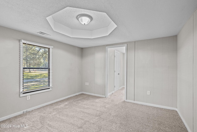 spare room featuring light carpet and a textured ceiling