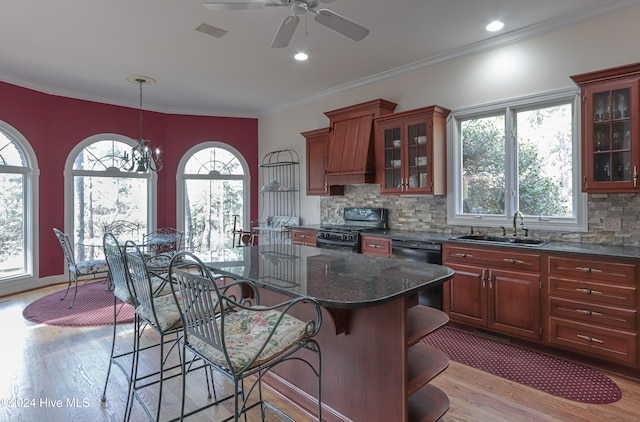 kitchen featuring sink, plenty of natural light, black appliances, and light hardwood / wood-style flooring