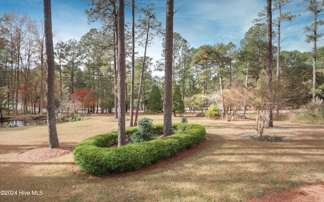 view of community featuring a water view and a lawn