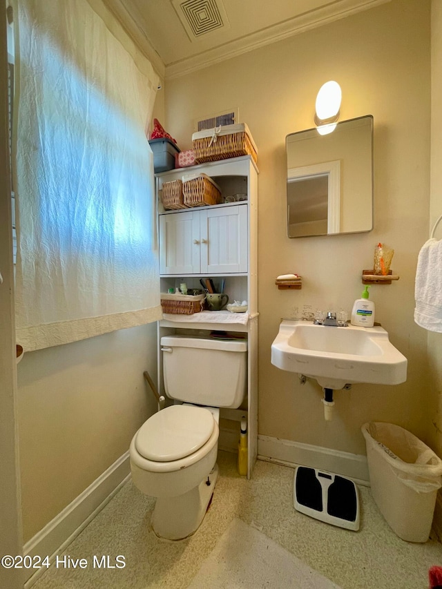 bathroom with toilet, crown molding, and sink