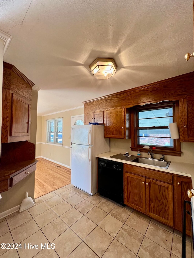 kitchen featuring sink, light hardwood / wood-style flooring, a textured ceiling, black dishwasher, and white fridge