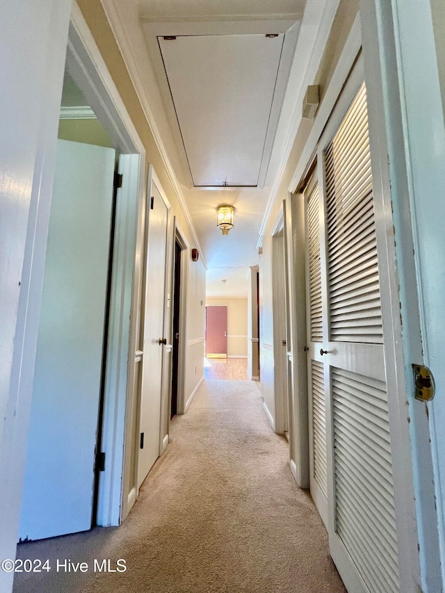 corridor featuring light colored carpet and crown molding