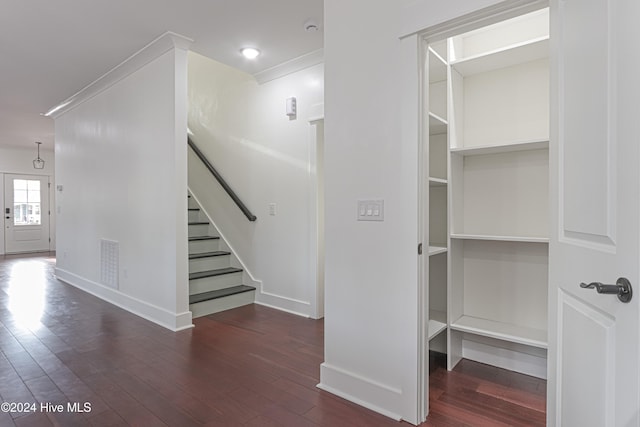 staircase featuring hardwood / wood-style flooring