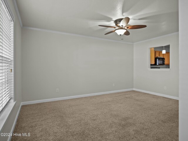 carpeted spare room with plenty of natural light, ornamental molding, and ceiling fan