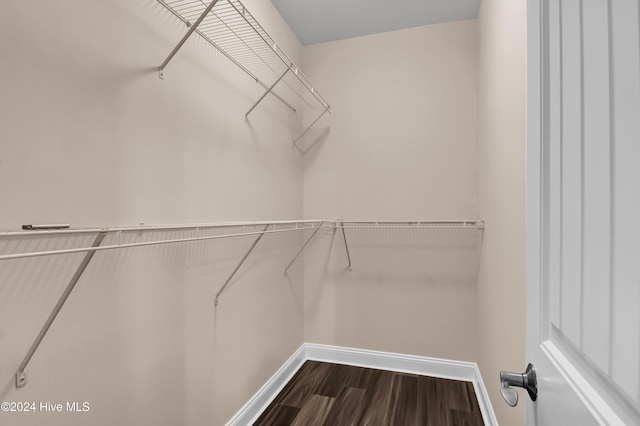 walk in closet with hardwood / wood-style flooring