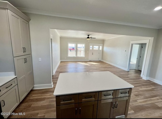 kitchen featuring light wood-style floors, open floor plan, and crown molding