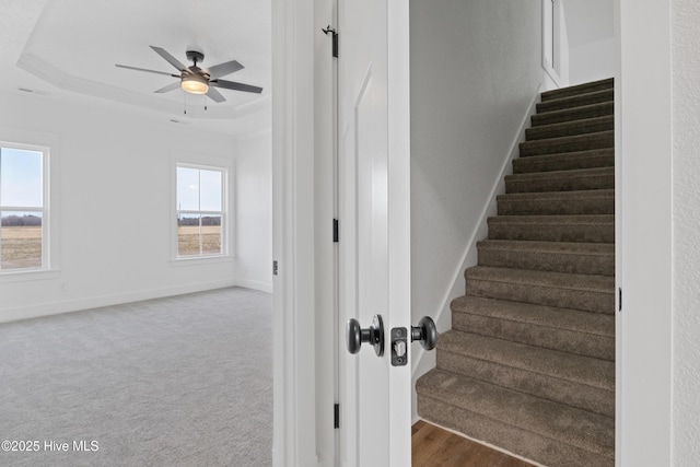 stairway featuring baseboards, visible vents, ceiling fan, a tray ceiling, and carpet floors