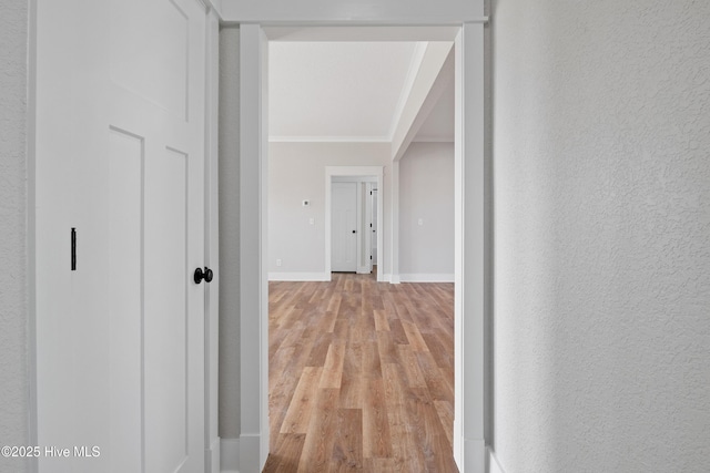 corridor featuring light wood-style floors, baseboards, crown molding, and a textured wall