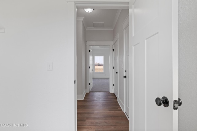 hallway featuring attic access, dark wood-style flooring, and crown molding