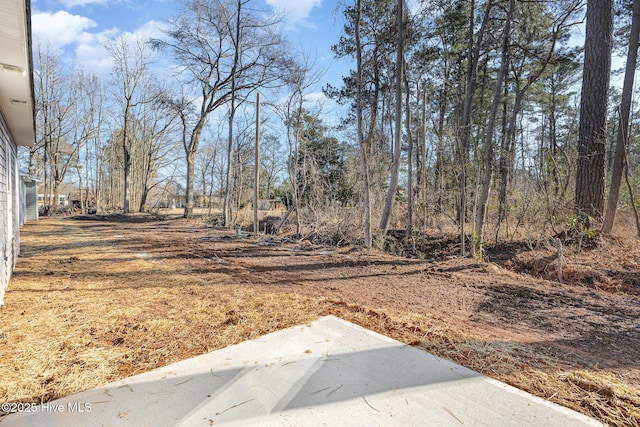 view of yard with a patio