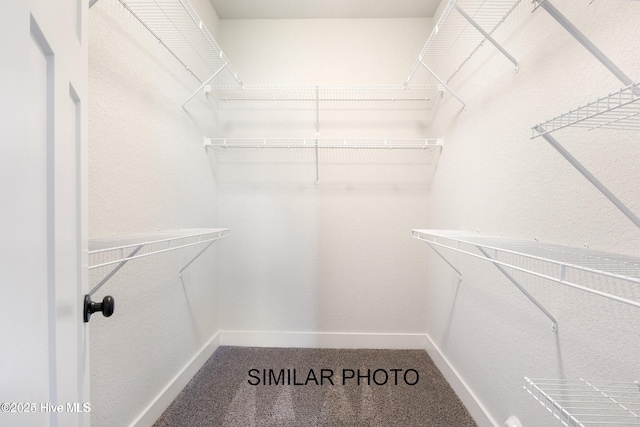 spacious closet with carpet floors