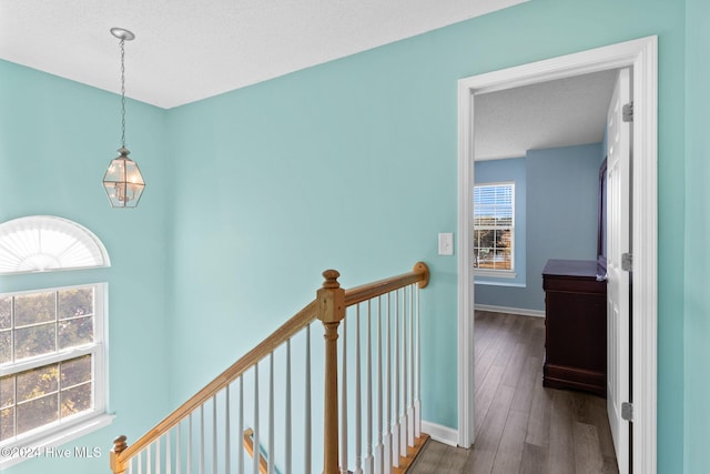 hallway featuring hardwood / wood-style floors, a textured ceiling, and a healthy amount of sunlight