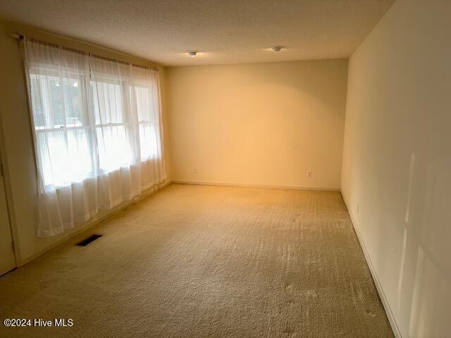 1738 NC-306 Hwy S, Grantsboro, NC 28529 - unfurnished room with light colored carpet and baseboards