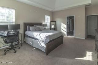 bedroom with carpet and multiple windows