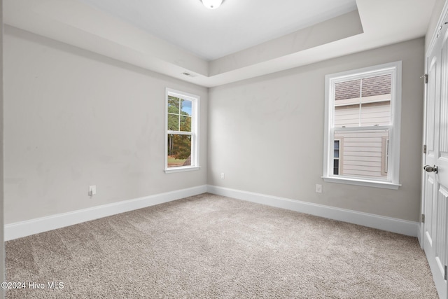 carpeted empty room featuring a raised ceiling