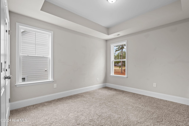 carpeted spare room featuring a tray ceiling