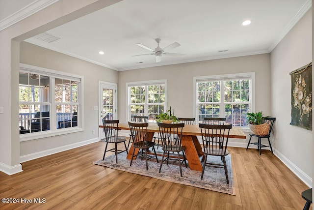 dining area with ceiling fan, light hardwood / wood-style flooring, plenty of natural light, and ornamental molding