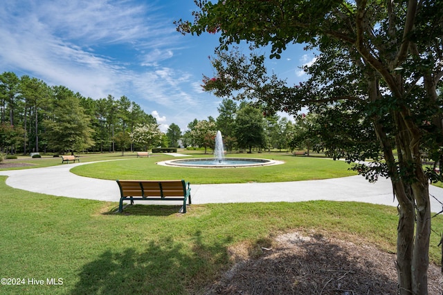 view of community featuring a yard