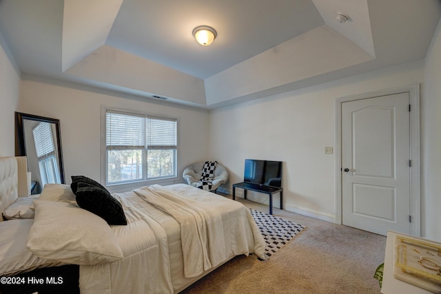 270 Hydrangea Ln, Hampstead, NC 28443 - carpeted bedroom featuring a raised ceiling and baseboards
