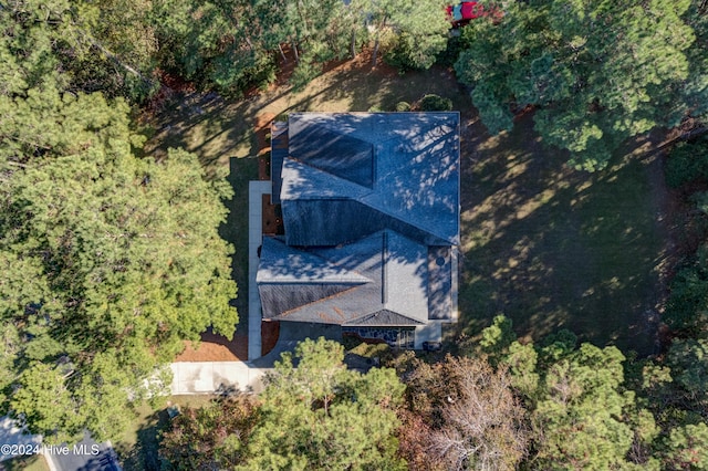 270 Hydrangea Ln, Hampstead, NC 28443 - view from above of property