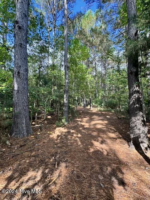 270 Hydrangea Ln, Hampstead, NC 28443 - view of woods