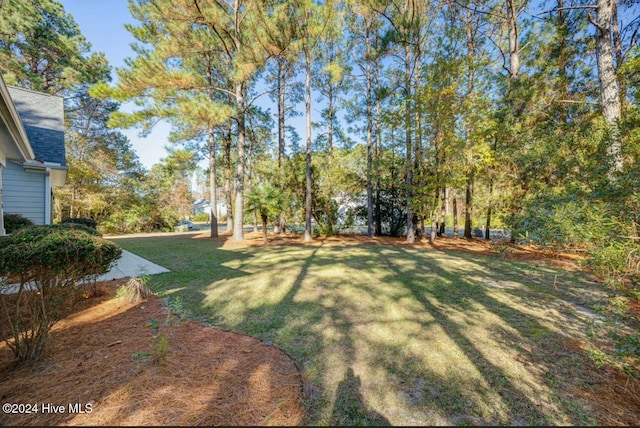 270 Hydrangea Ln, Hampstead, NC 28443 - view of grassy yard