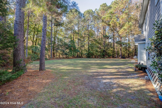 270 Hydrangea Ln, Hampstead, NC 28443 - view of green lawn
