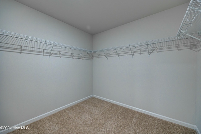 spacious closet with carpet