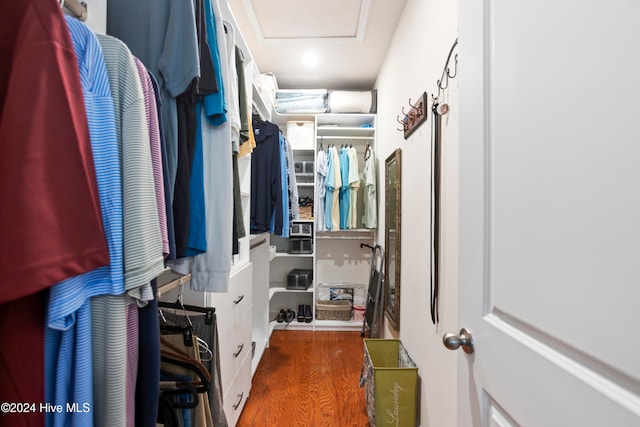 walk in closet featuring dark hardwood / wood-style flooring