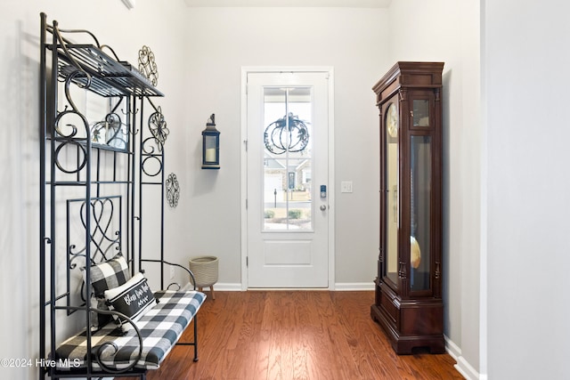 foyer entrance featuring dark hardwood / wood-style floors and a healthy amount of sunlight