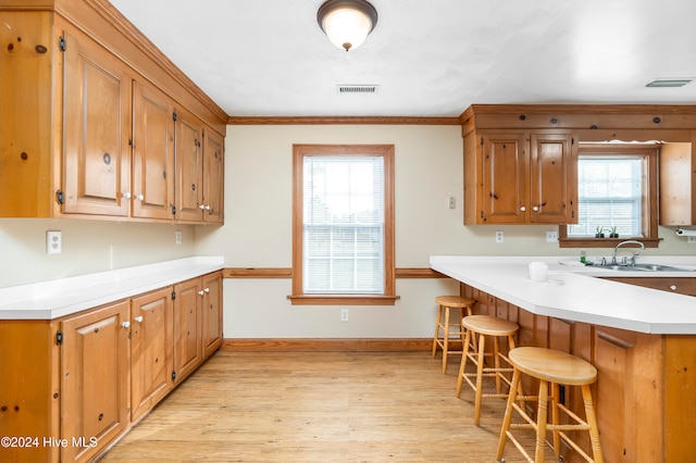 kitchen with sink, plenty of natural light, and light wood-type flooring