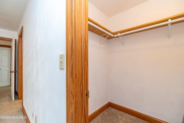 spacious closet with light colored carpet