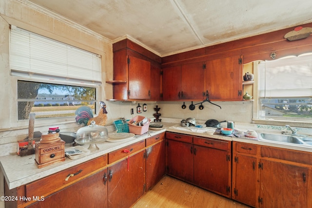 kitchen featuring crown molding, sink, and light hardwood / wood-style flooring