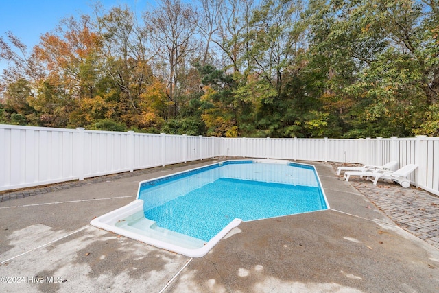 view of pool with a patio