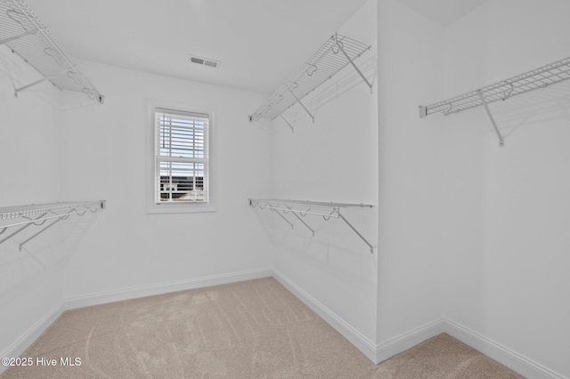 spacious closet featuring visible vents and light carpet