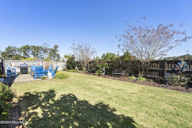 view of yard featuring a patio area