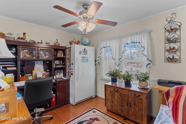 home office with crown molding, light hardwood / wood-style floors, and ceiling fan