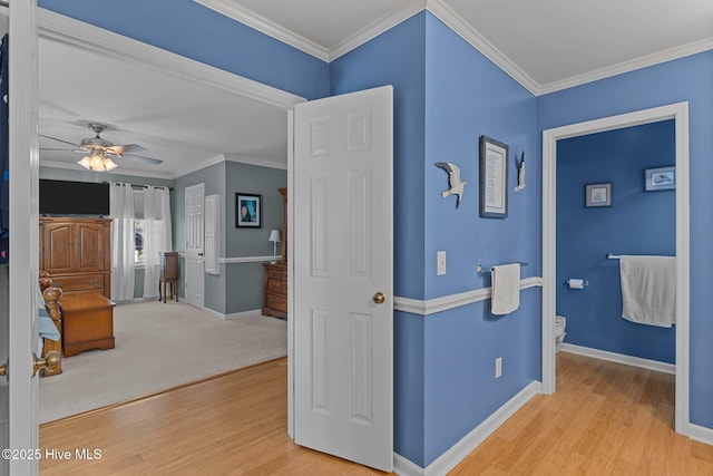 hallway featuring crown molding and light hardwood / wood-style flooring