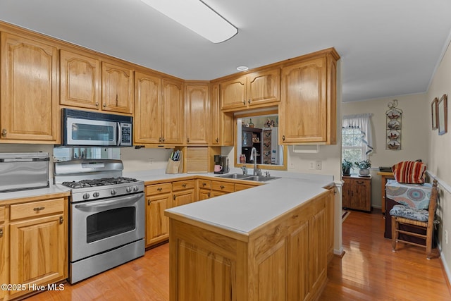 kitchen with appliances with stainless steel finishes, sink, and light wood-type flooring