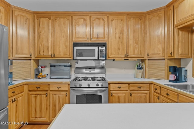 kitchen featuring appliances with stainless steel finishes and sink