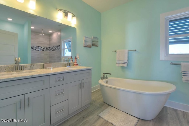 bathroom featuring vanity, plus walk in shower, and wood-type flooring