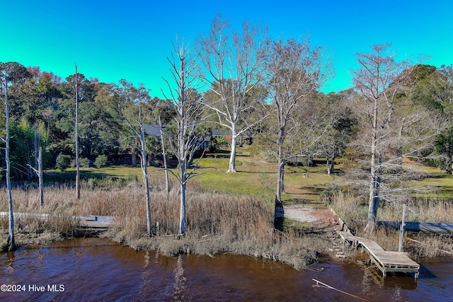 view of dock