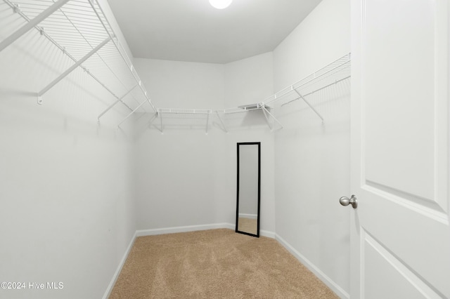 walk in closet featuring carpet flooring