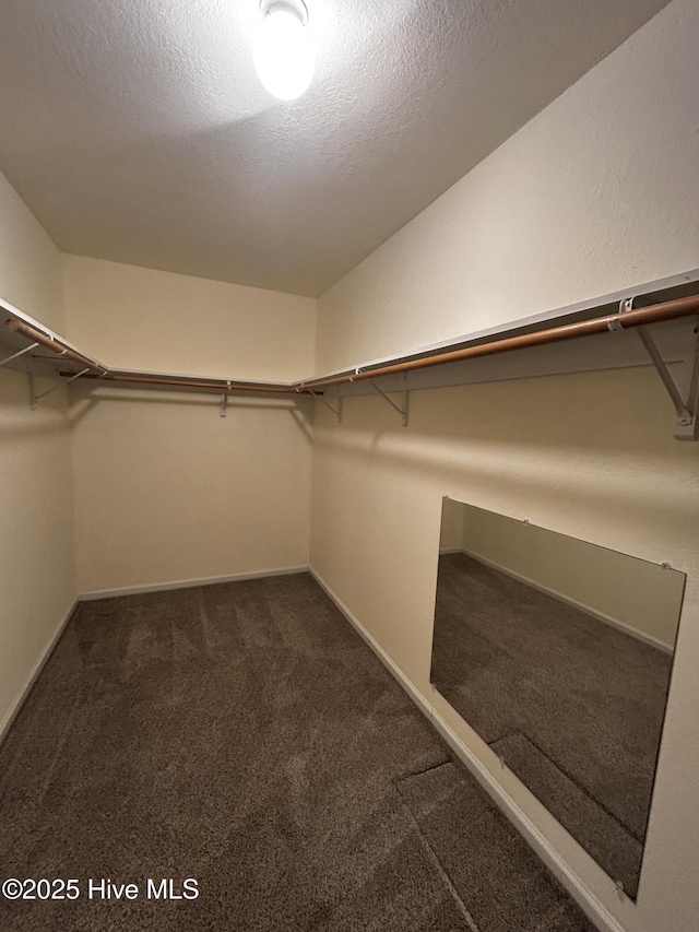 spacious closet featuring carpet flooring