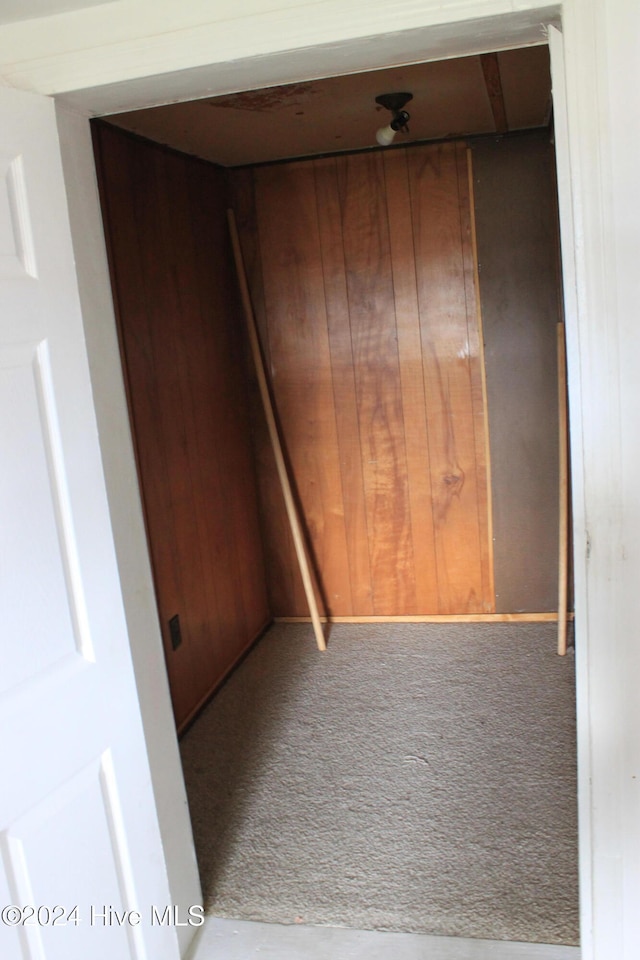 interior space featuring wood walls and carpet floors