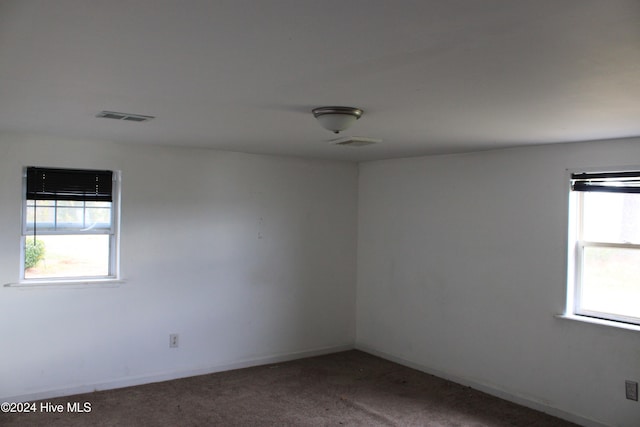 spare room with carpet floors and a healthy amount of sunlight