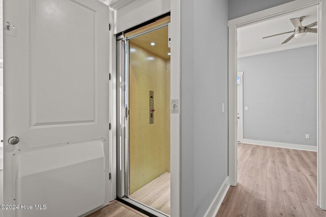 unfurnished room with ceiling fan, light wood-type flooring, and crown molding