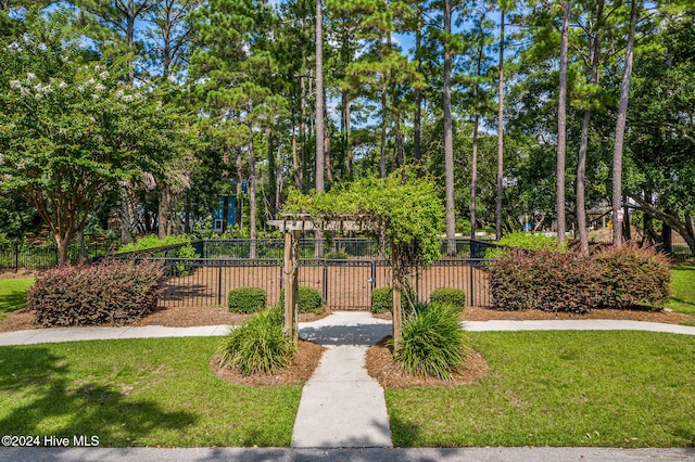 view of community with a lawn